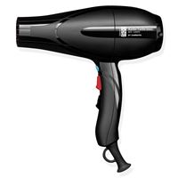 KSJG-01 KASHO Ionic hairdryer 2200W