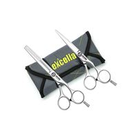 EO-60 os TSet EXCELIA Trainee Set (included EO-60os + ET-60os T38B/os