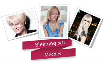 Blekning &amp; Mechés (A-Ö)                                               