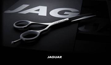 Jaguar saxar                                                          