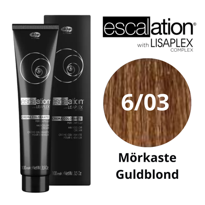 Escalation 100ml