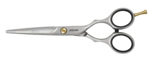 Jaguar Pre Style Ergo 5"