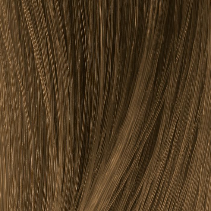 phpBGzvMe